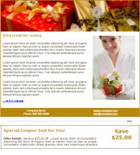 Holiday Email Marketing Template - Holiday Season